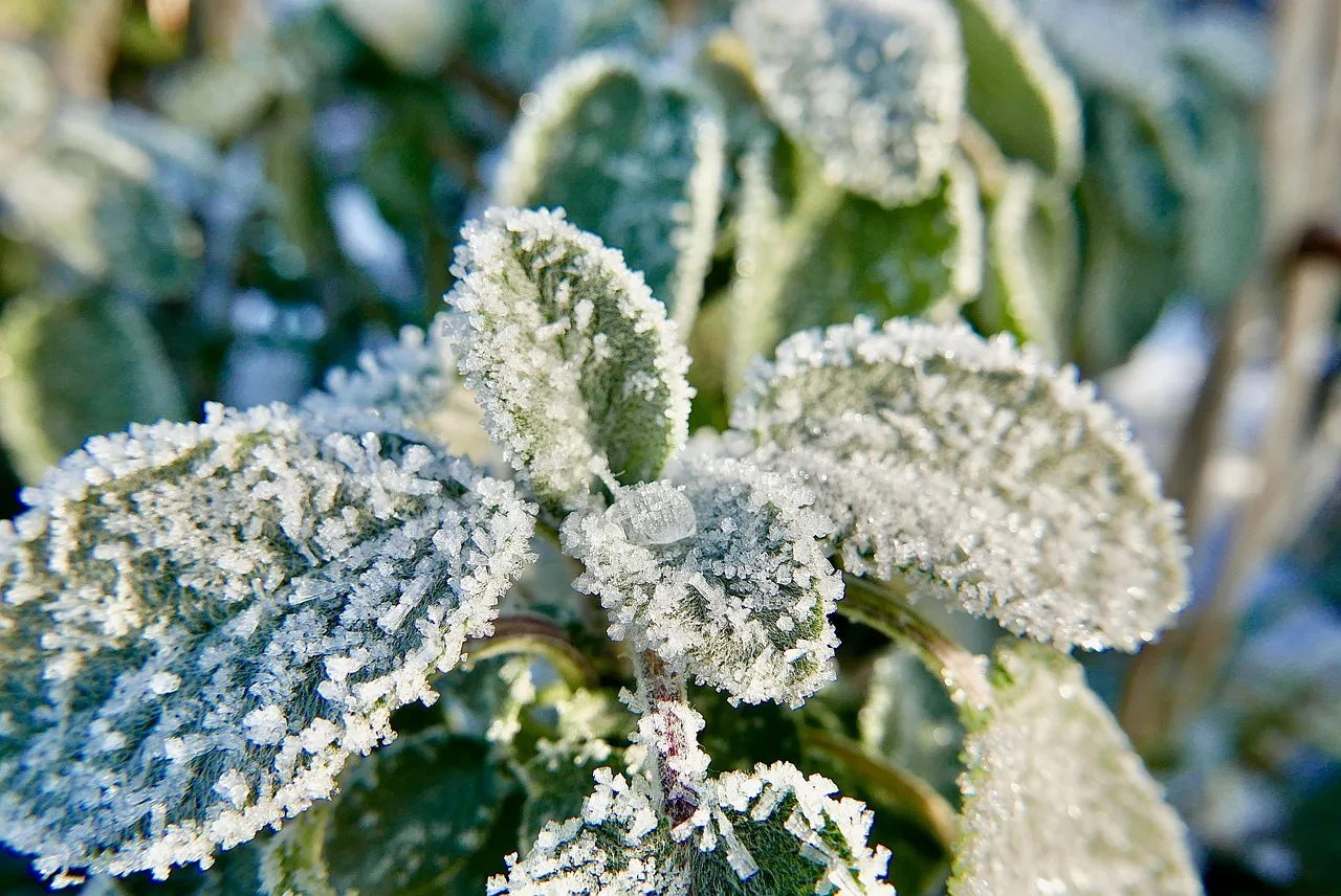 cleansing crystals with sage