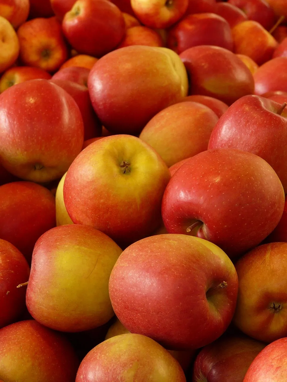 foods that speed up digestion